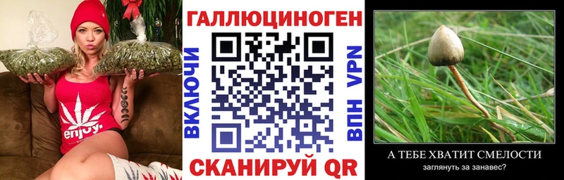 Купить  Сертолово  Галлюциногенные грибы мицелий 